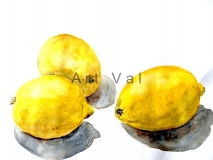 still-life_1_20130621_1673742117