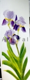 still-life_1_20130621_1717038902