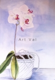 watercolour_1_20130905_1719120684